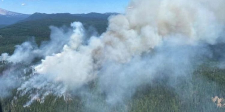 In Action To Extinguish Wildfire, A Firefighting Pilot In Oregon was Death