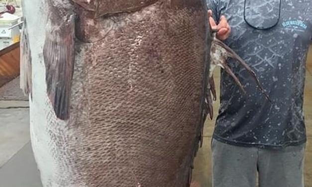 The Story of a Fisherman Who Caught a Deep Sea Giant Fish in the Philippines Went Viral