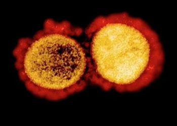Dangerous! 10 Times More Contagious Corona Types is Detected in Surabaya to Jakarta