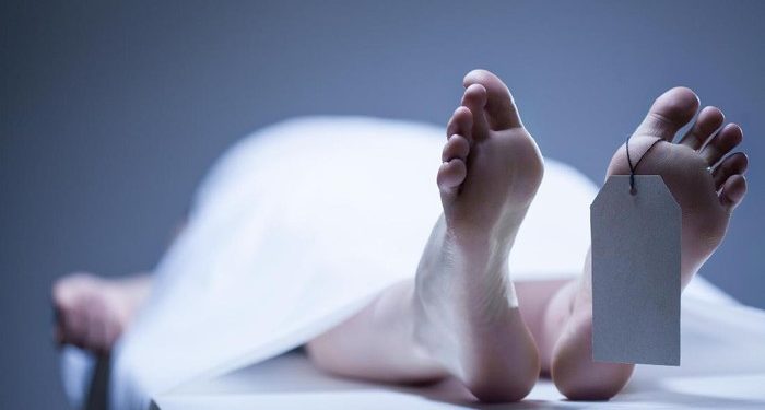 Alert! Bubonic Plague Attacks China, One Citizen Has Died