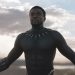 Chadwick Boseman Dies, so Who is the Successor of the Wakanda Throne?