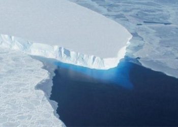 A Study Revealed Arctic Sea Ice Could Disappear Into the Ocean in the Coming 15 Years