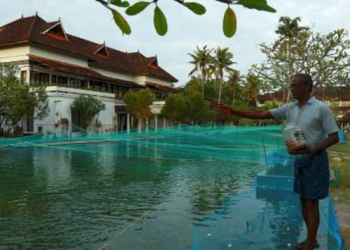 Not only Happens in Indonesia, Swimming Pool in a Luxury Resort is Changed to Become Fish Ponds also Happening in India