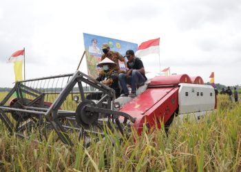 Maintain food security during the Covid-19 Season, Regent Siak Alfedri, harvest rice in Belading Village, Sabak Auh sub-district