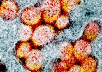 Malaysia Finds Corona Virus Mutations That Are More Contagious 10 Times
