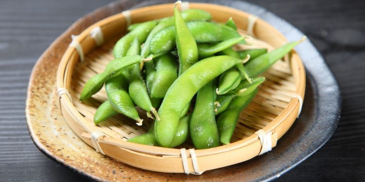 Besides Physical Exercise, these Muscle-Building Foods Can Form a Muscular Body