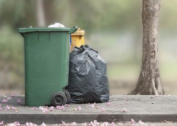 Garbage in Italy is Decrease During the  Lockdown, but Plastic Waste is Increase
