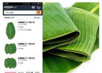 Fantastic! In Japan, Banana Leaves are Sold for IDR 800 Thousand