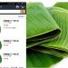 Fantastic! In Japan, Banana Leaves are Sold for IDR 800 Thousand