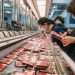 China Finds Traces of Corona on Frozen Packaging, From Salmon to Chicken Wings