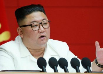 Kim Jong Un is in Coma, is it True that North Korea will Change the Leader?