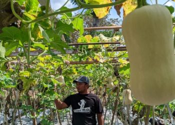 Inspirational! Instead of being an Office Employee, This Young Man Prefers to be a Farmer
