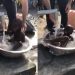 A Touching Video of a Boy from Cameroon for the First Time Taking a Bath in Clean Water