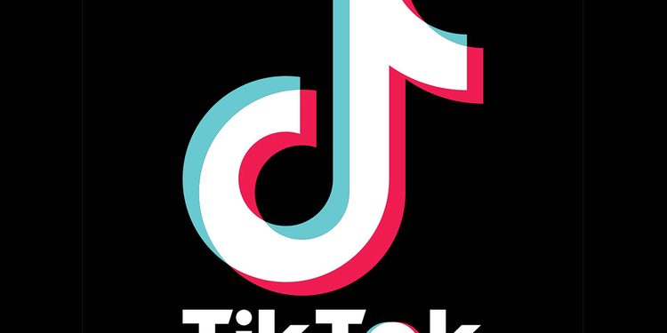 Great! TikTok is Banned in India, This Young Indian Manages to Create a Similar Application as a Solution