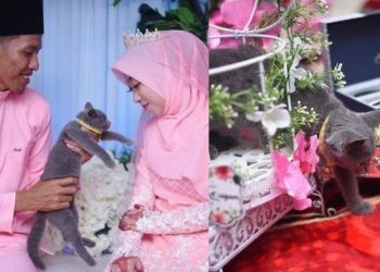 Viral! Unique dowry for couples