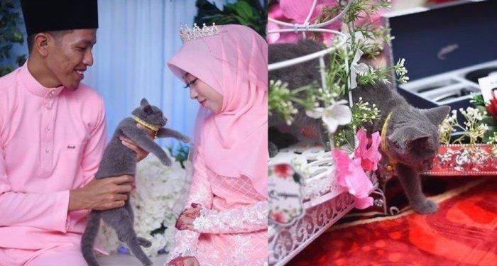 Viral! Unique dowry for couples