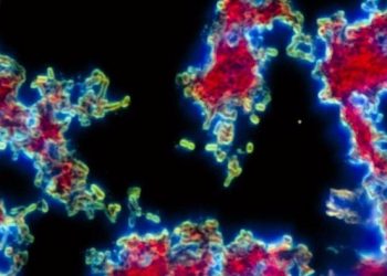 Horrified! There is a New Disease Outbreak in China, These Are the Symptoms and Ways of Transmission