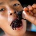 Disgusting! Tarantula Spiders Become an Extreme Delicacy for Vietnamese