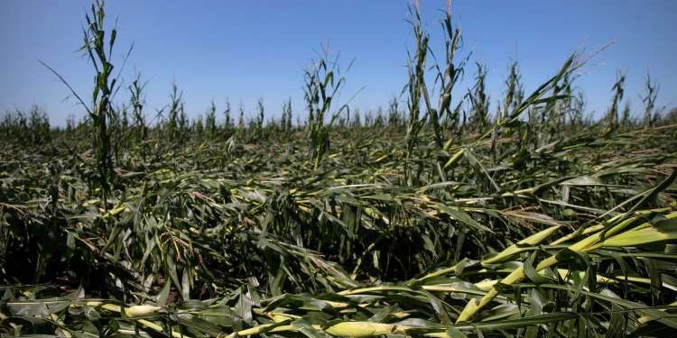 US Secretary of Agriculture Purdue approves designation of 18 counties as natural disaster areas in Iowa