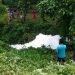 Splashy! Mysterious White Foam Leaves Out of the Ground in Sijunjung, This What the Environmental Service Said