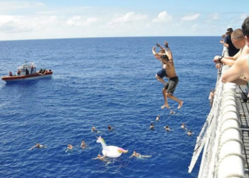 While Having Fun Swimming in the Sea, US Coast Guard Crews were Attacked by a Ferocious Shark
