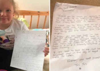 The Story of a Little Girl Who Got the Reply Letter from Her Dead Cat