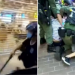 About to Buy School Supplies, This Little Girl Was Suddenly Arrested And Beaten By The Police