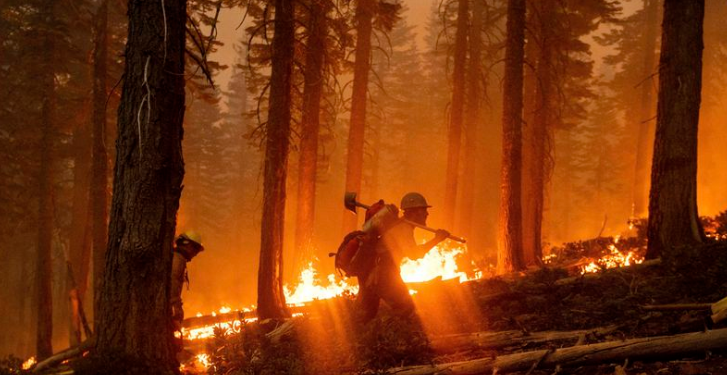 Two Californians Died in a Wildfire