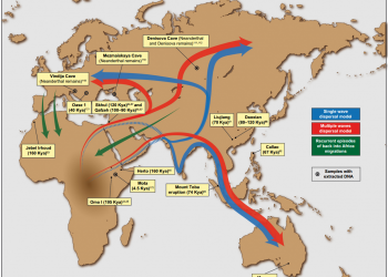People of 40,000 years old are the largest list in East Asia