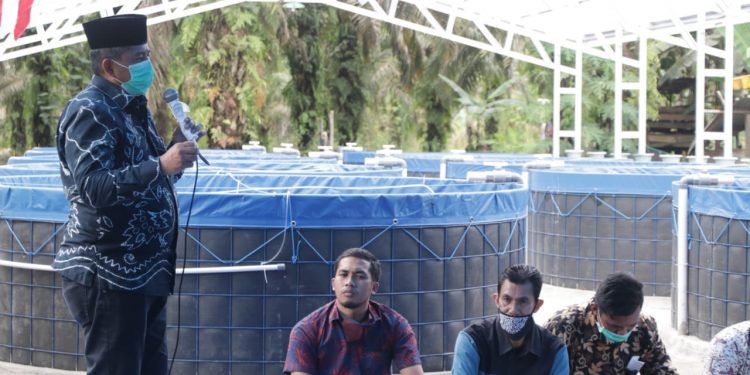 This the Hope of the Regent of Siak About the Biofloc Pond in Kampung Libo Jaya