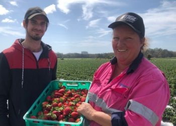 Australia has a Shortage of Workers in the Agricultural Sector