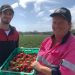 Australia has a Shortage of Workers in the Agricultural Sector