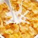 Who Knows? It Turns Out That Breakfast With Corn Flakes Can Prevent Maturation