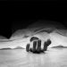 Heartbreaking! A Man Left His Mother’s Death Body by the Side of the Road
