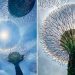 Photos and Videos of the Natural Phenomena in Singapore Went Viral on Social Media