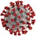 The World Health Organization has Reported at Least 307,930 Cases in Just One Day