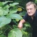 Amazing, the Australian Researchers are Attempting to create Painkillers from the Poison Tree