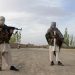 Starting to Peace, Afghanistan and the Taliban Free Each Other Prisoners
