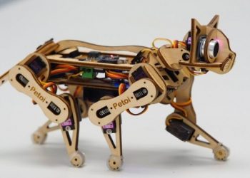 iMicro 800x smartphone microscope