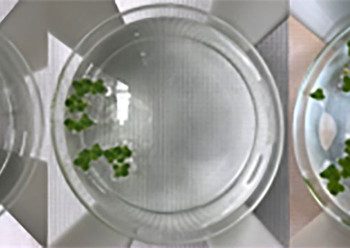 Experience space superfoods and more on this subtropical blue core expedition