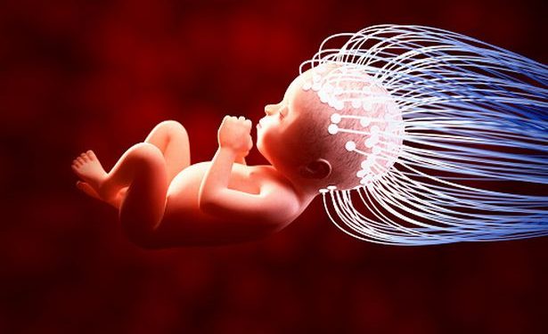 A Scientist Said that Artificial intelligence Will One Day Keep Human Beings