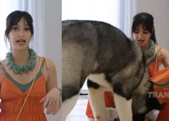Nia Ramadhani Rents a Special House for Dogs