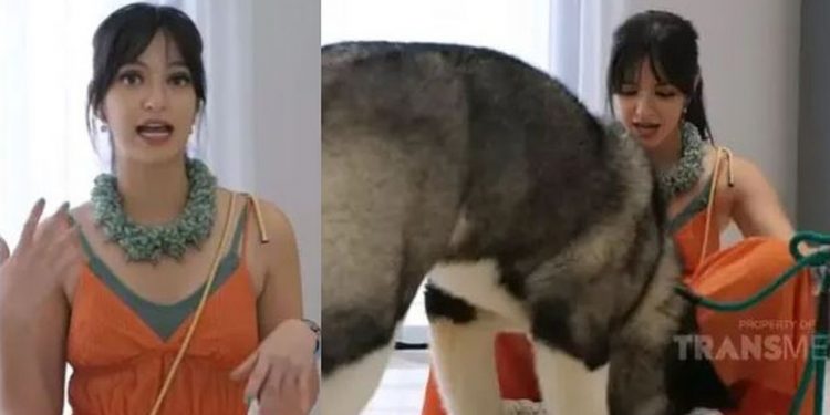 Nia Ramadhani Rents a Special House for Dogs