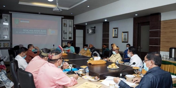 Have a Discuss About Exports, the Regent of Indragiri Hilir Holds a Meeting with KIG Company