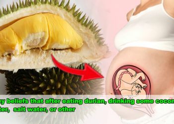 Four Facts About Eating Durian While Pregnant, According to Experts