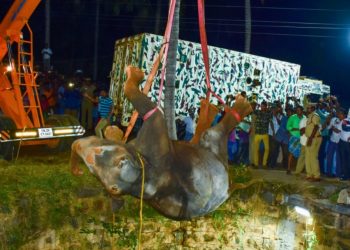 The Story of an Elephant that Hoisted From Deep Well in India
