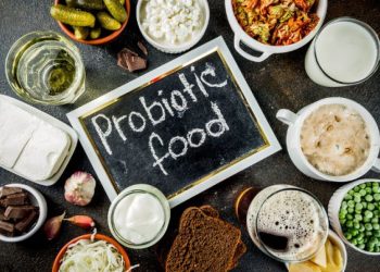 The Correlation Between Probiotics and Gut Health