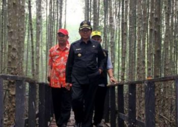 The Regent of Indragiri Hilir Conducts Mangrove Planting in Kundra