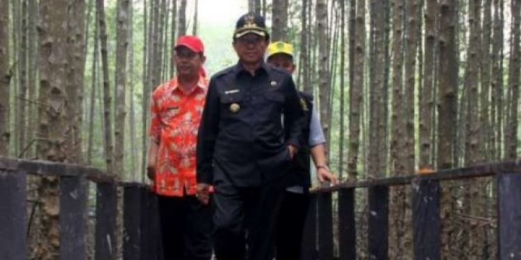 The Regent of Indragiri Hilir Conducts Mangrove Planting in Kundra