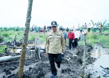 At Least, 1920 Hectares of Plantation Land Threatened by Sinking